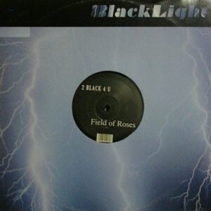2 Black 4 U ‎– Field Of Roses